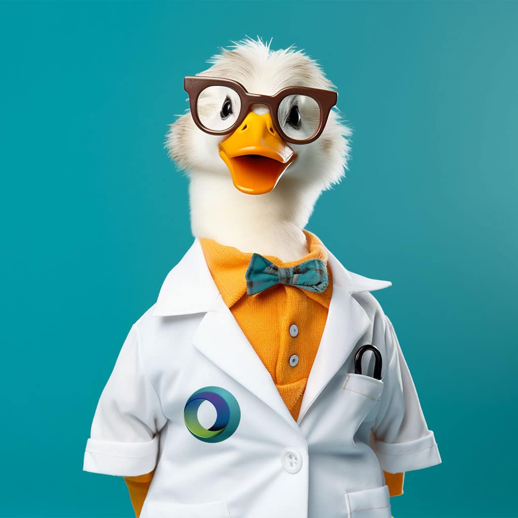 WordPress maintenance DR DUCK